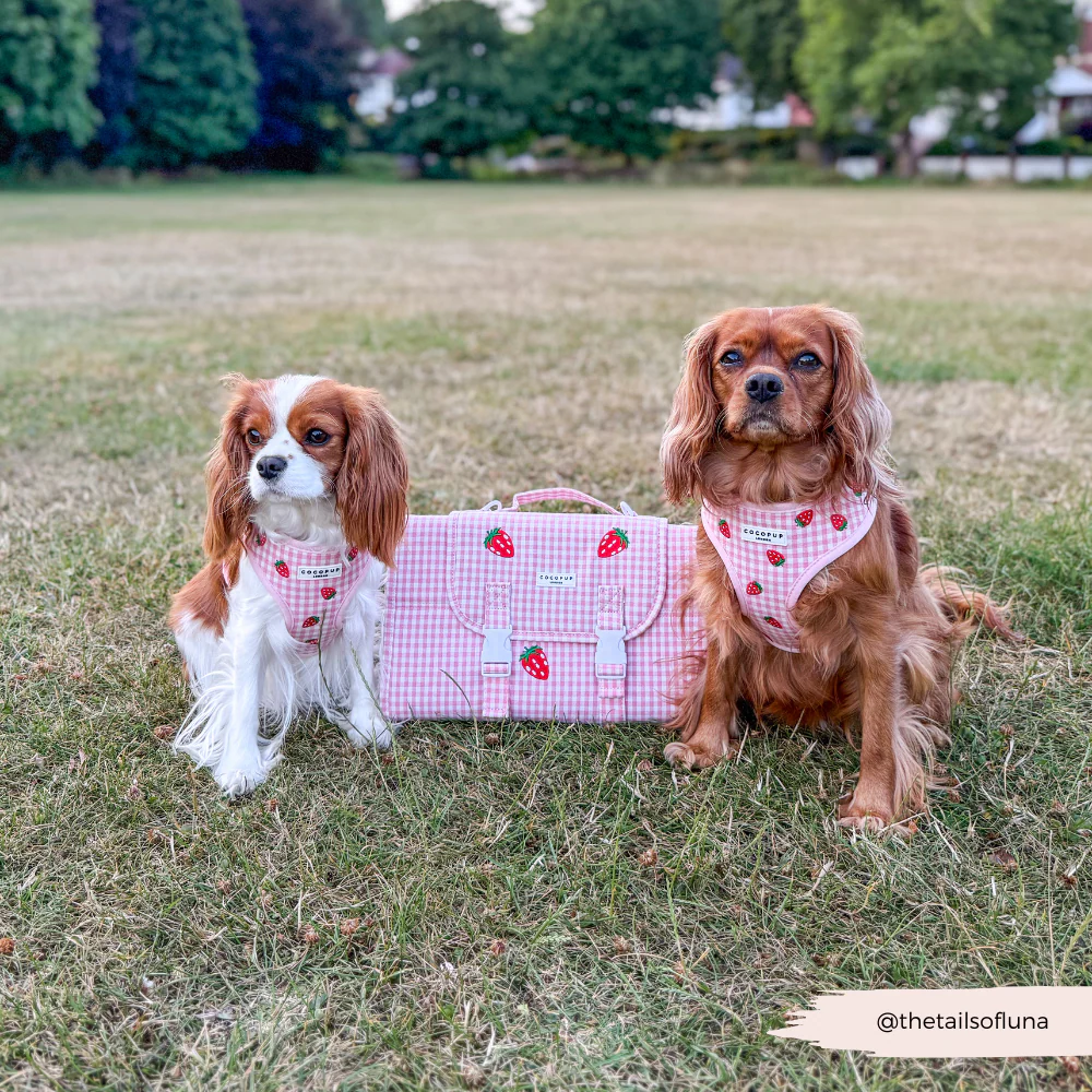 Travel Mat - Strawberry Picnic Pup - Image 12