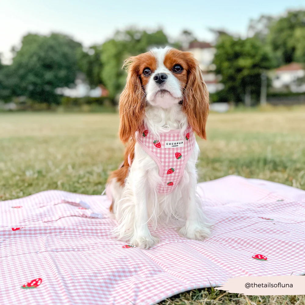 Travel Mat - Strawberry Picnic Pup - Image 13