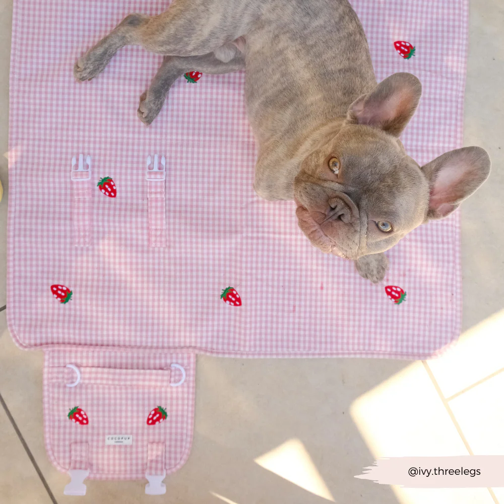 Travel Mat - Strawberry Picnic Pup - Image 14