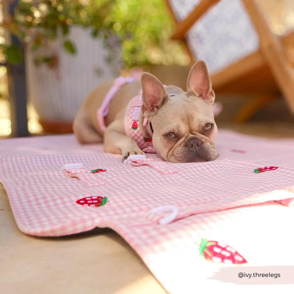 Travel Mat - Strawberry Picnic Pup - Image 15
