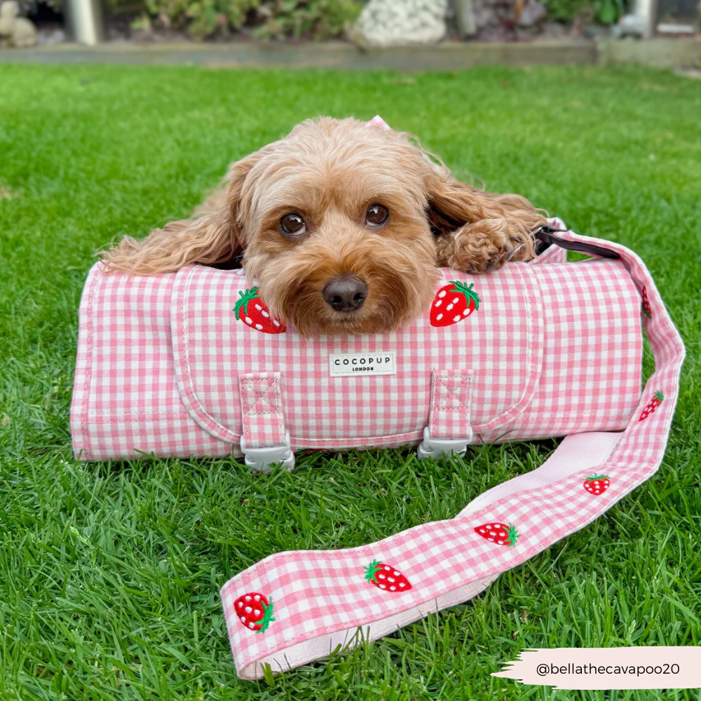 Travel Mat - Strawberry Picnic Pup - Image 16
