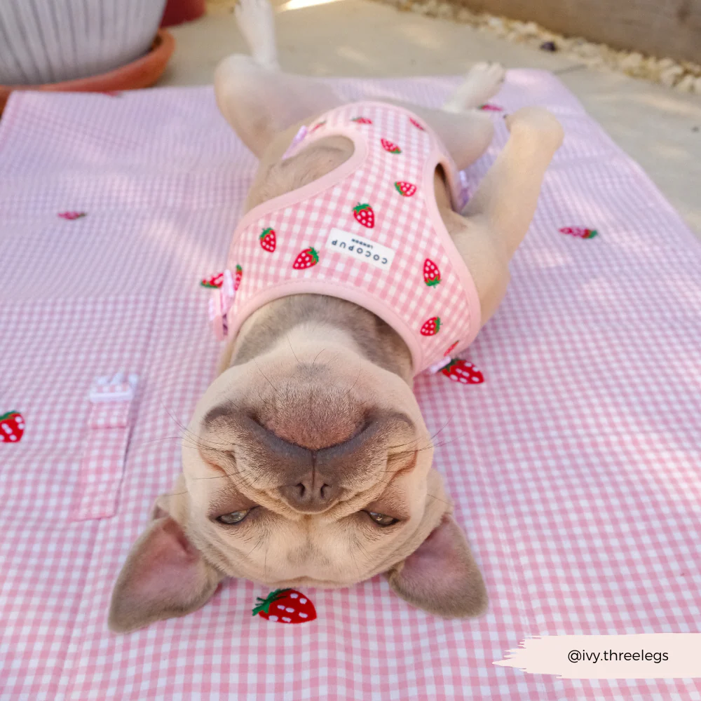 Travel Mat - Strawberry Picnic Pup - Image 6