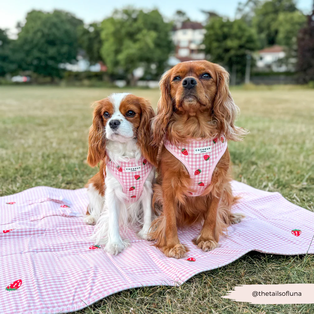 Travel Mat - Strawberry Picnic Pup - Image 7
