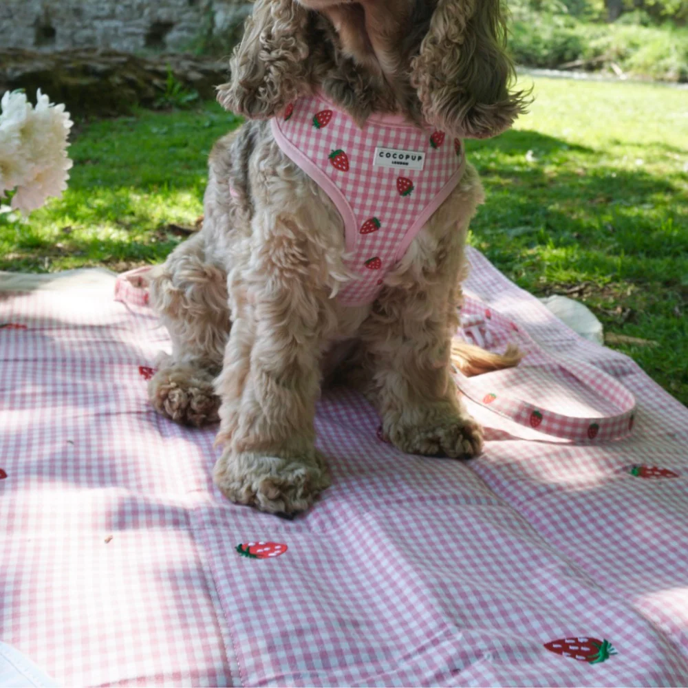 Travel Mat - Strawberry Picnic Pup - Image 8