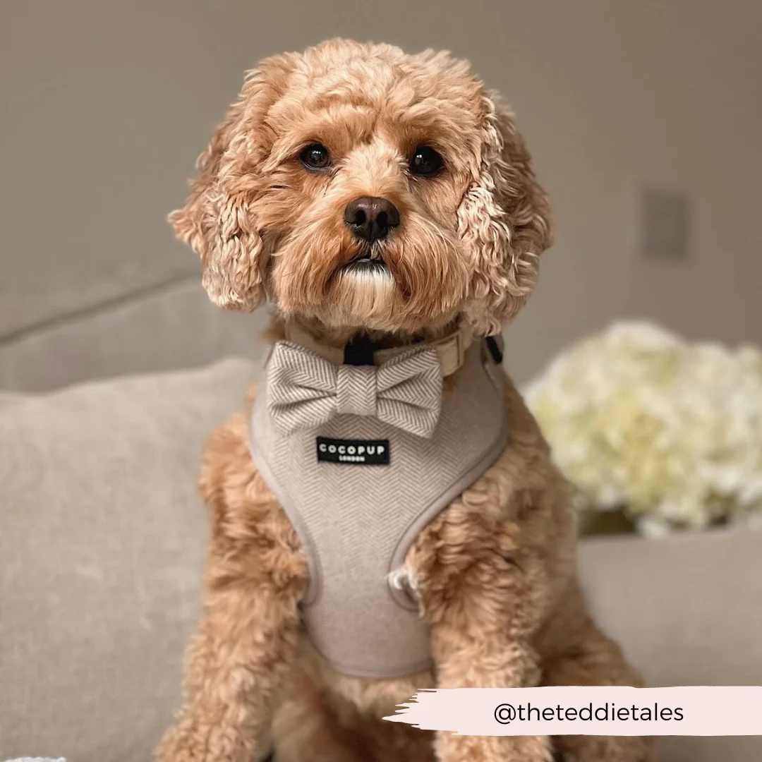 Brown Tweed Bow Tie - Image 11